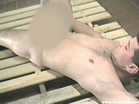 Dark Meat Of California Streets - Szene 2