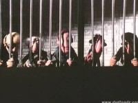Let My Puppets Cum - Szene 2